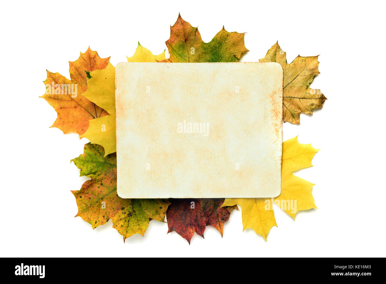 Automne fond - old paper texture sur les feuilles. clipping path Banque D'Images