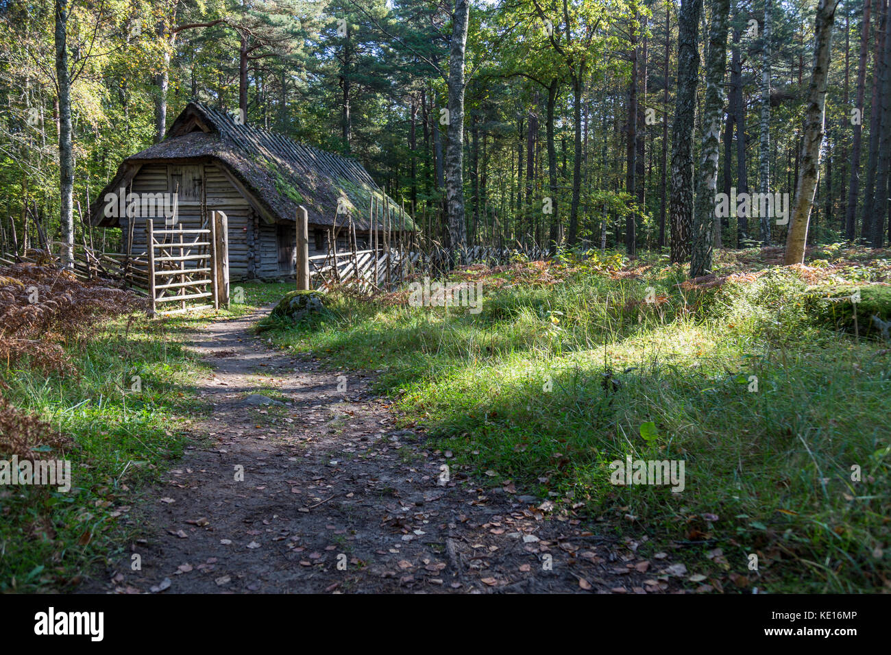 Vintage, maison rustique à l'automne. Banque D'Images