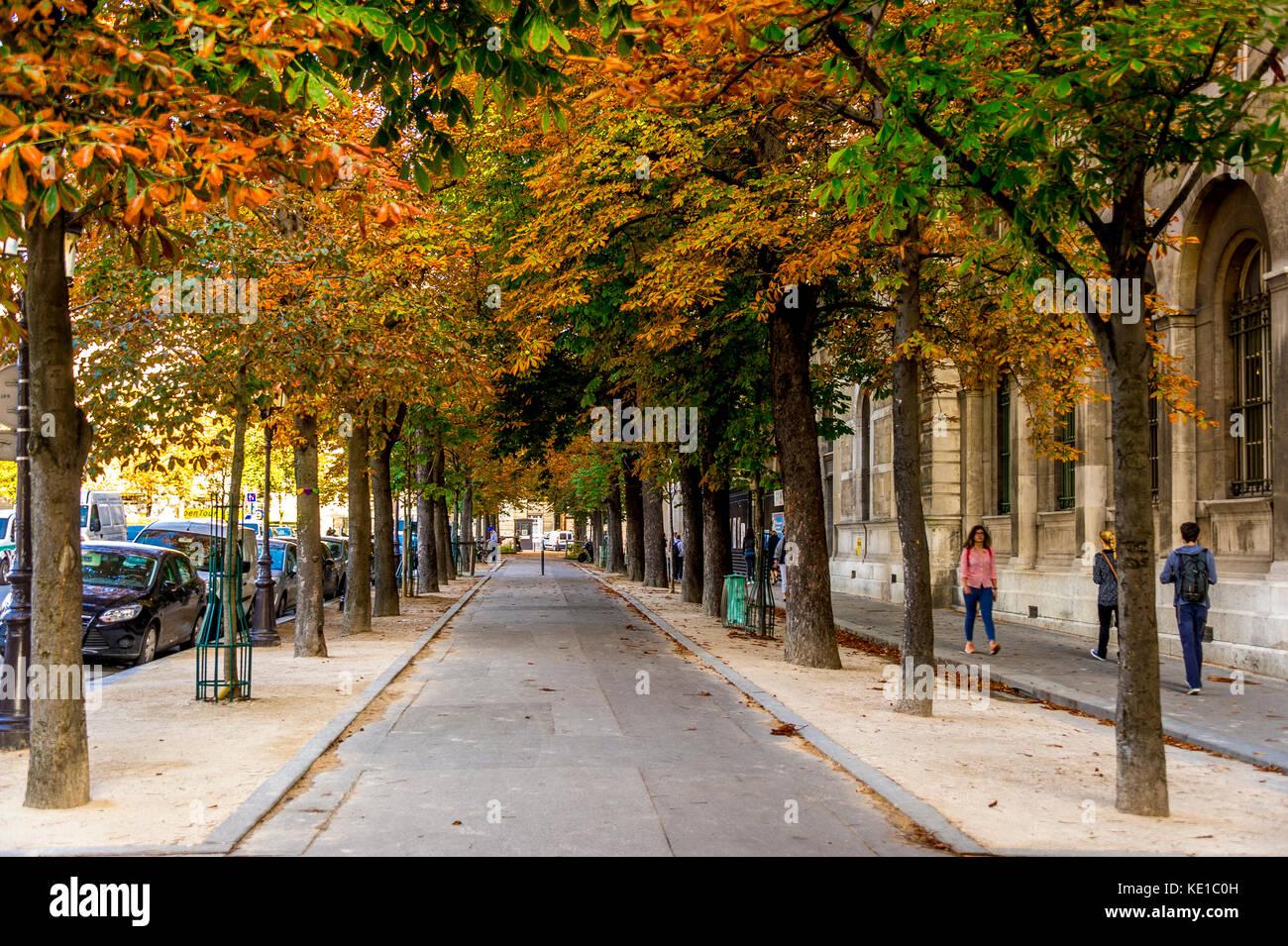 Feuilles d'automne sur une rue de Paris Banque D'Images