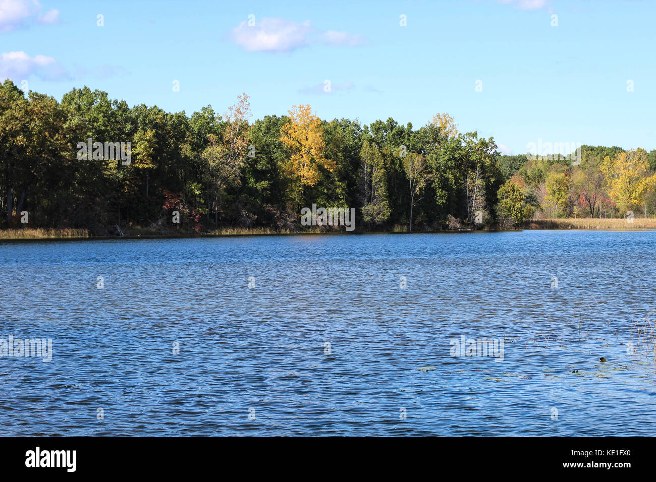 Une belle un panorama dans le Michigan sur un lac à l'automne du mois d'octobre Banque D'Images