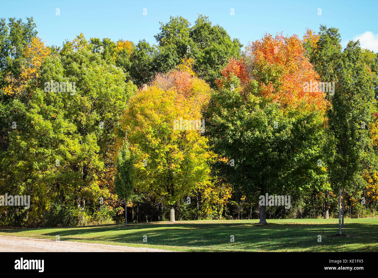 Les arbres d'automne dans le Michigan, lors d'une promenade sur une journée ensoleillée dans un parc d'état Banque D'Images