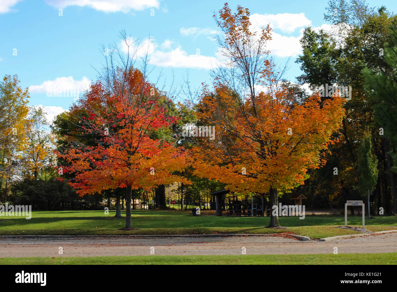 Les arbres d'automne dans le Michigan, lors d'une promenade sur une journée ensoleillée dans un parc d'état Banque D'Images