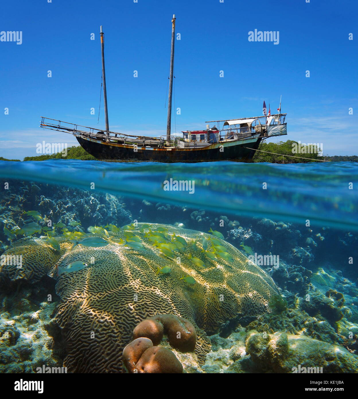 Sur et sous l'eau vue fractionnée d'un vieux bateau à voile échoué sur un récif de poissons tropicaux et de coraux sous l'eau, mer des Caraïbes Banque D'Images