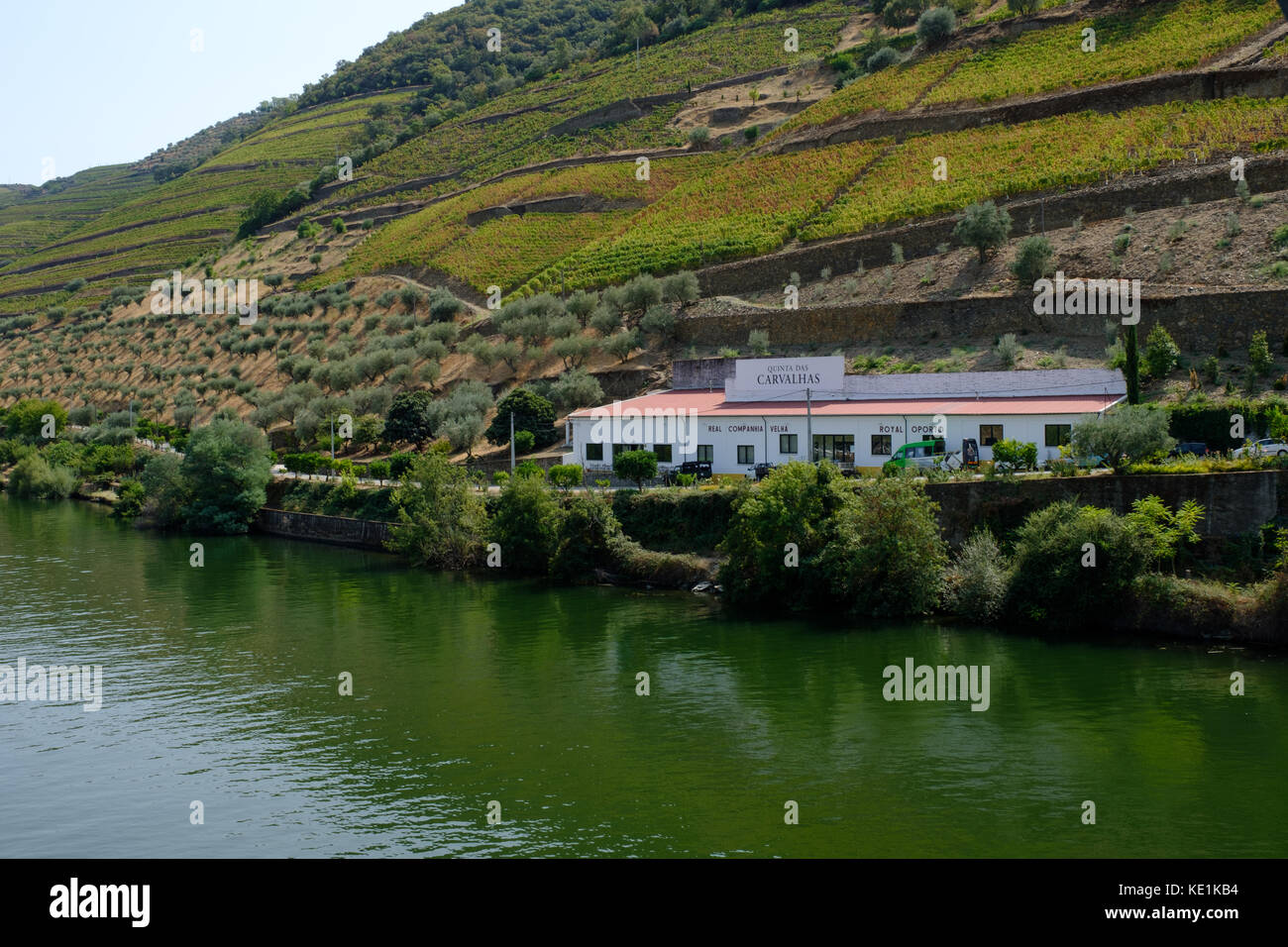 Vue sur Pinhao le long des rives du Douro, Portugal Banque D'Images