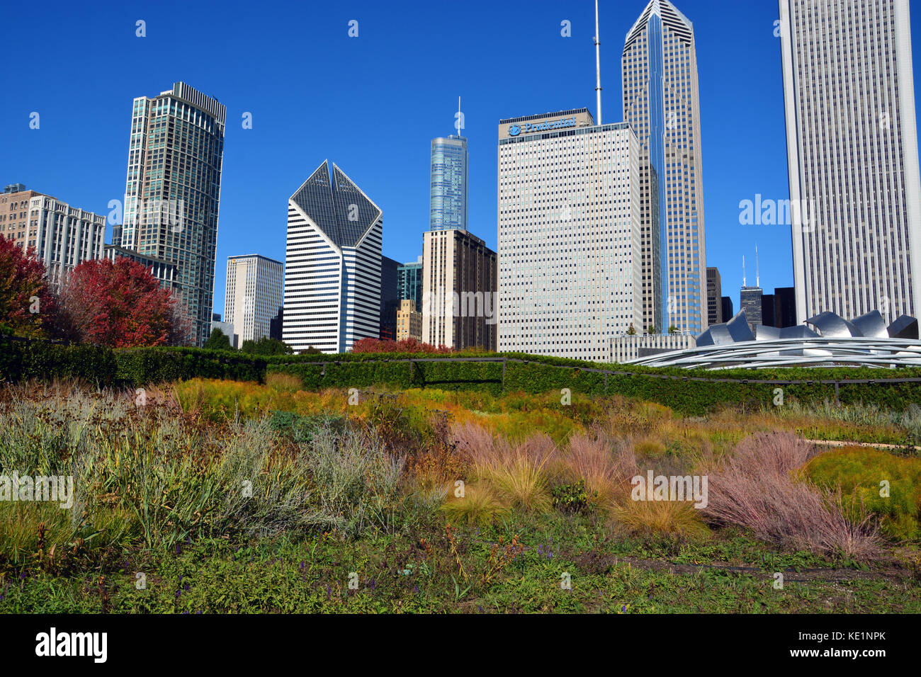 La Lurie jardins dans le Millennium Park offre un espace vert tranquille au coeur du centre-ville de Chicago. Banque D'Images