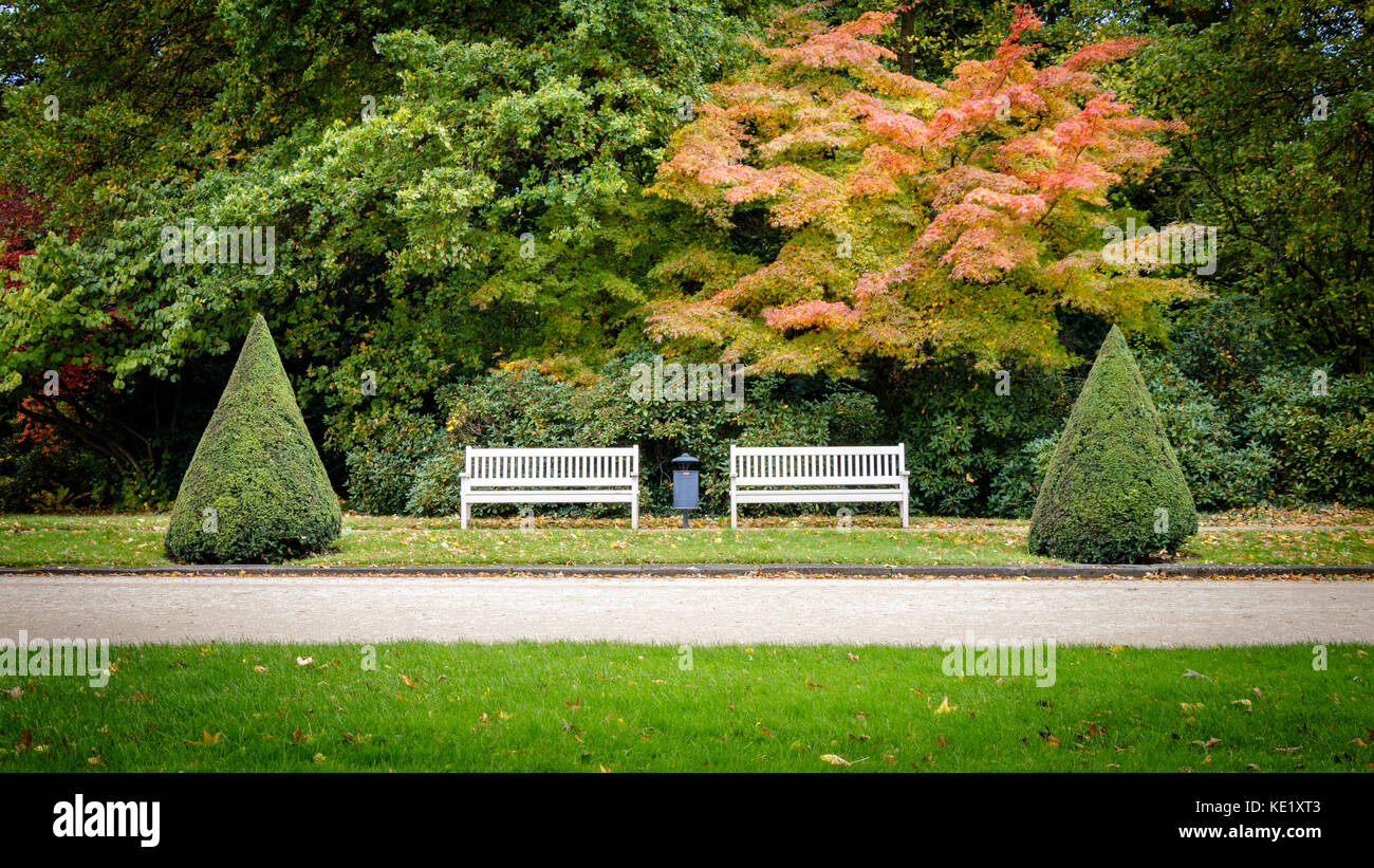 Le Großer Garten est un parc de style baroque dans le centre de Dresde. Ce sont les bancs typiques sous certains arbres colorés. pris sur un jour de tempête en o Banque D'Images