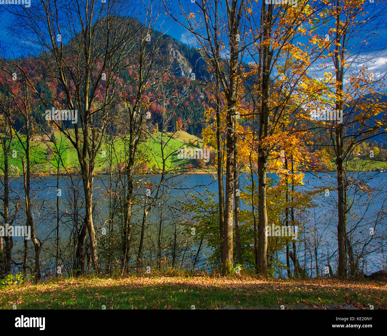 De - bavaria : scène d'automne le long du lac schliersee Banque D'Images