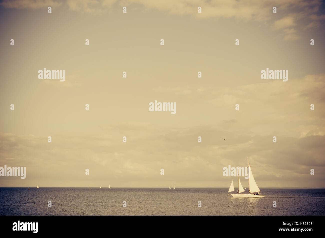 Yachts à voile sur le lac Ontario Banque D'Images