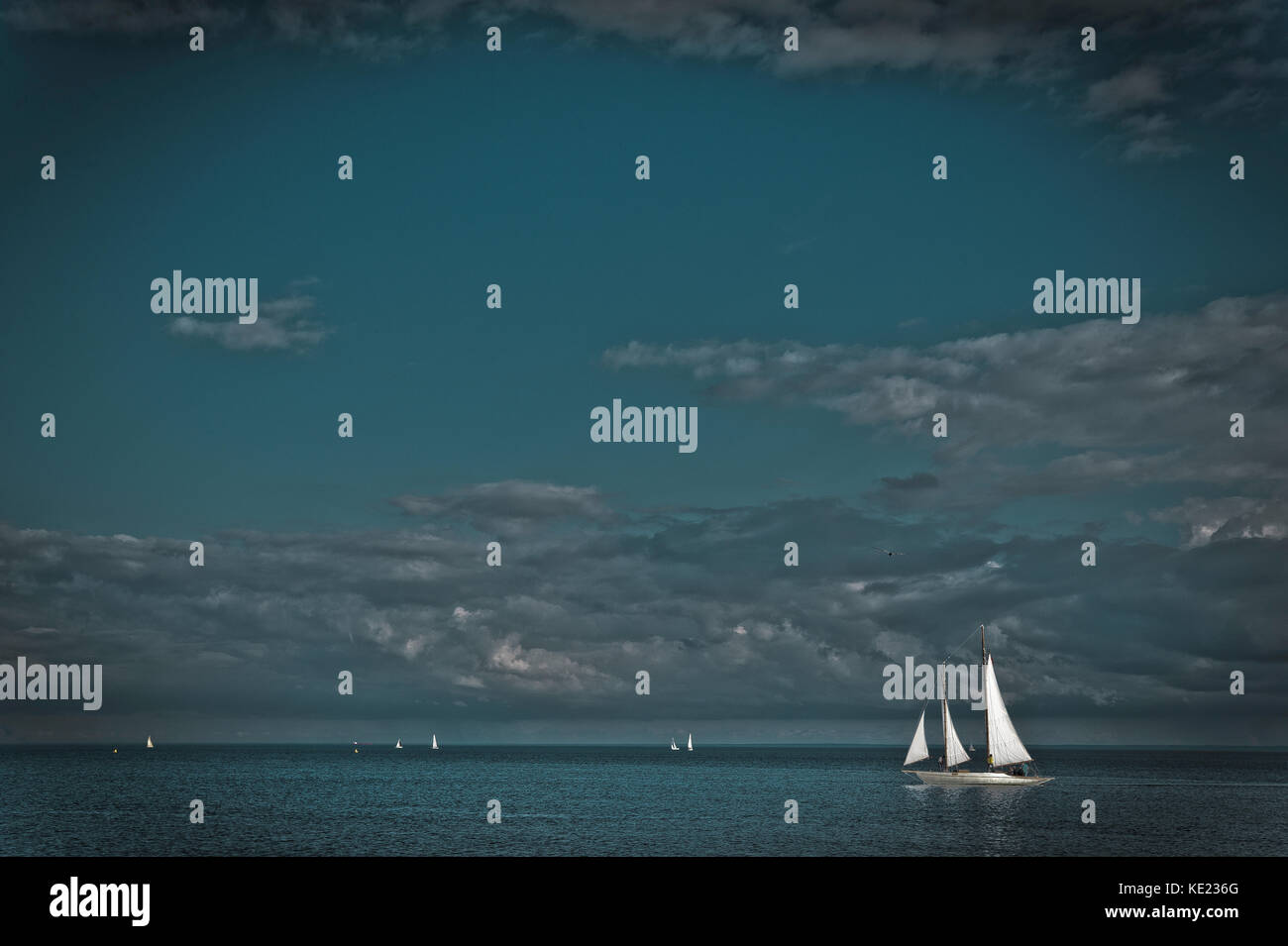 Yachts à voile sur le lac Ontario Banque D'Images