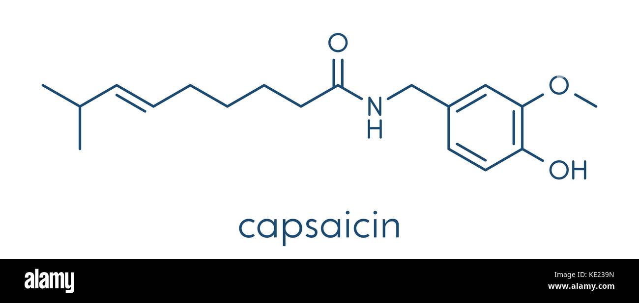 Piment capsaicine. molécule utilisée dans les aliments, les médicaments, le gaz poivré, etc. formule topologique. Illustration de Vecteur
