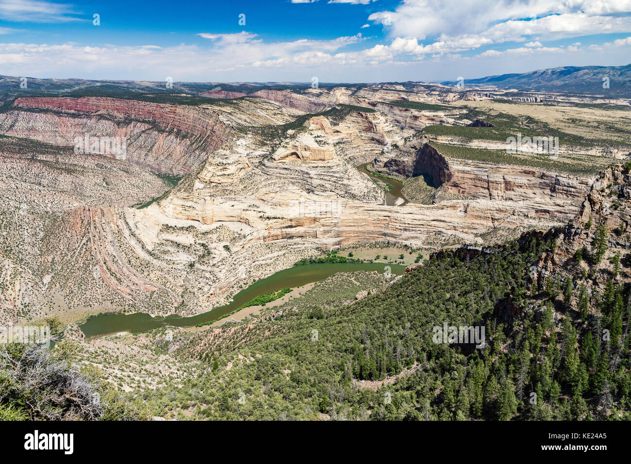 La green river, Dinosaur National Monument, Colorado et l'Utah, USA Banque D'Images