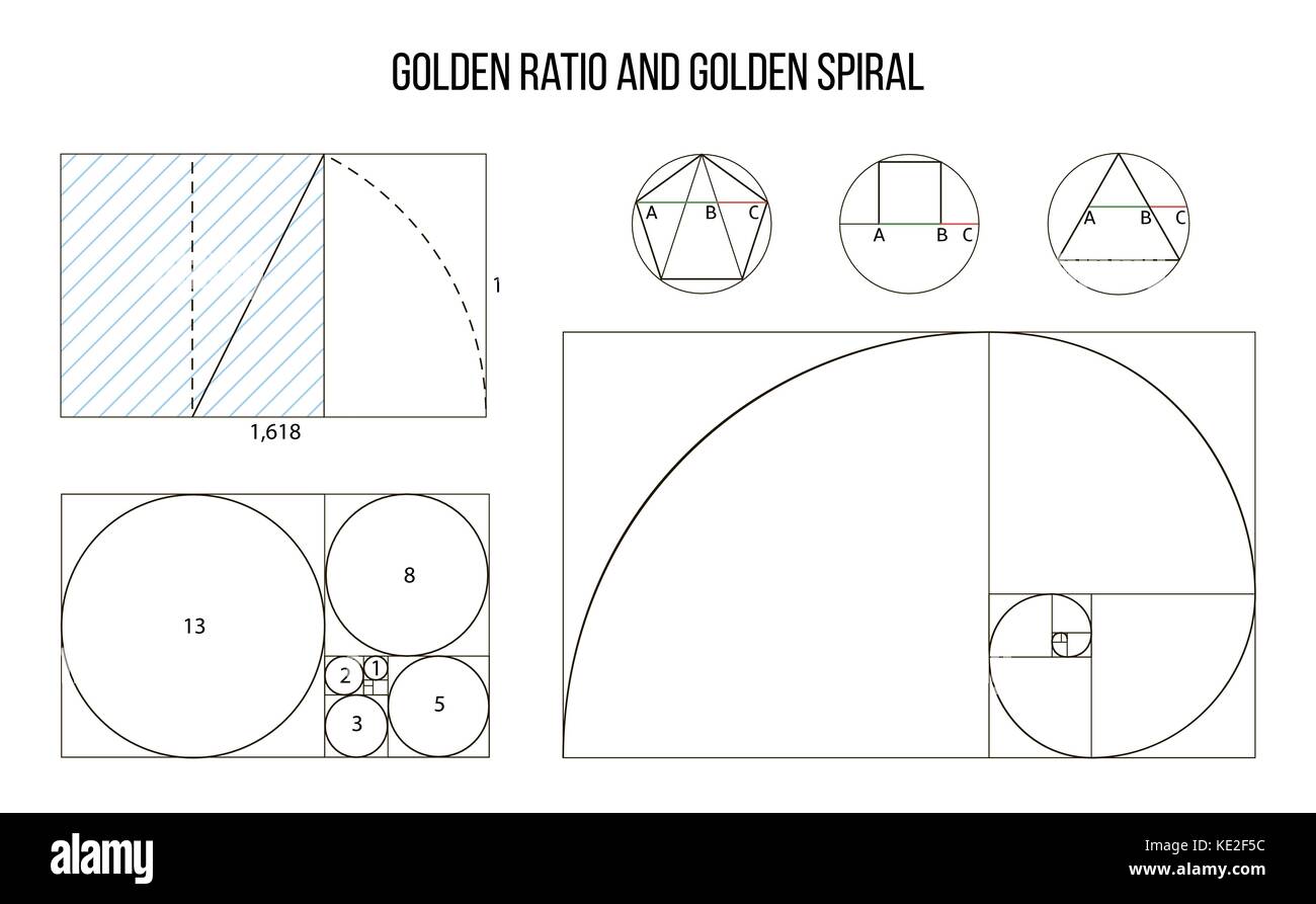 Vecteur modèle golden ratio, divine proportions, proportion d'or Illustration de Vecteur
