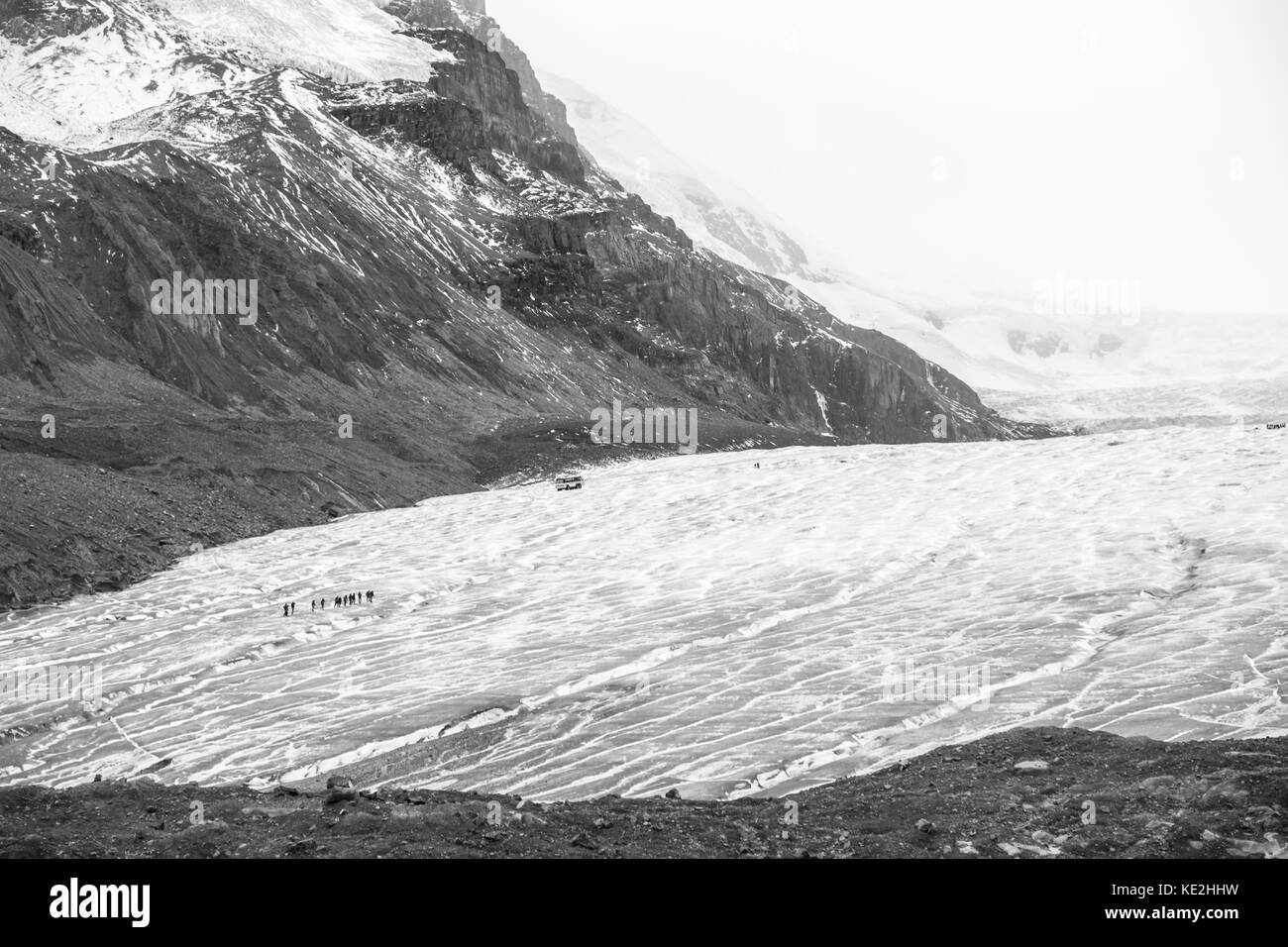 Athabasaca glacier Canadian Rockies Banque D'Images