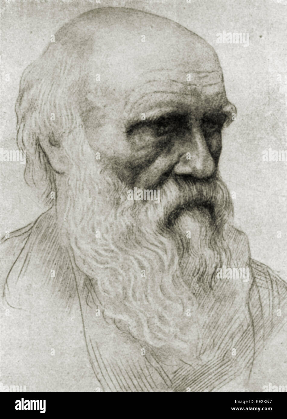 Charles Darwin - portrait de la British naturaliste. Dessin de Alphonse Legros. 12 février 1809 - 19 avril 1882. AL Artiste : 8 mai 1837 - 8 décembre 1911 Banque D'Images