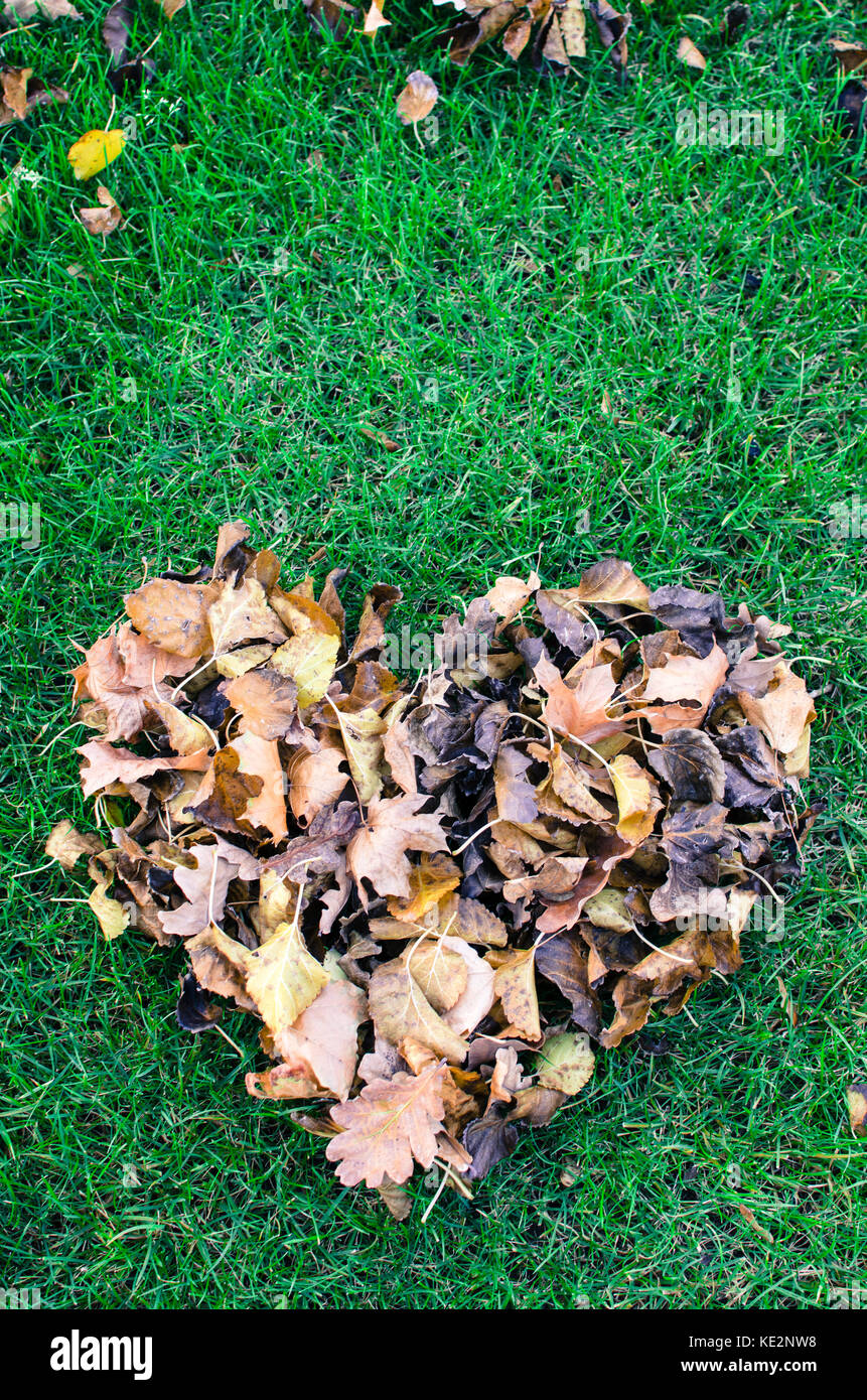 Forme de coeur de sécher les feuilles d'automne sur l'herbe Banque D'Images