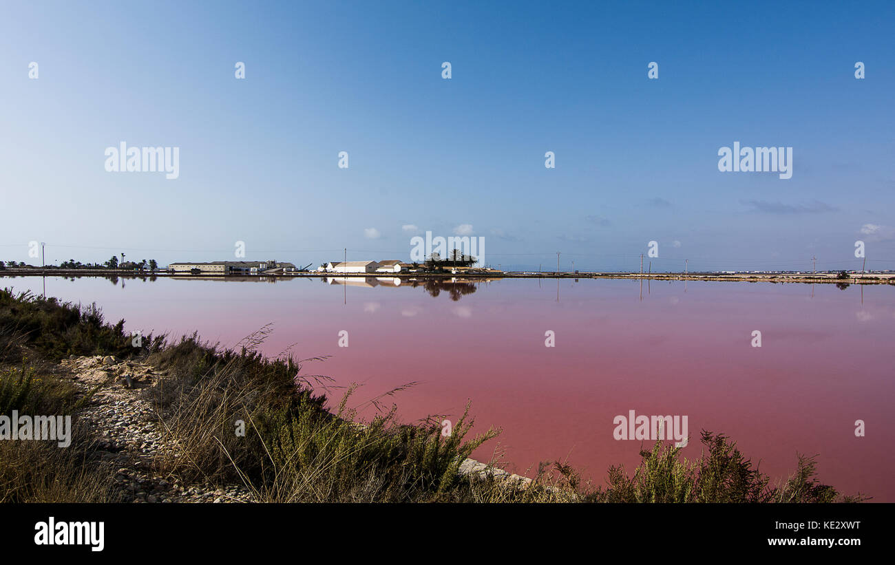 Salines de San Pedro del Pinatar Banque D'Images