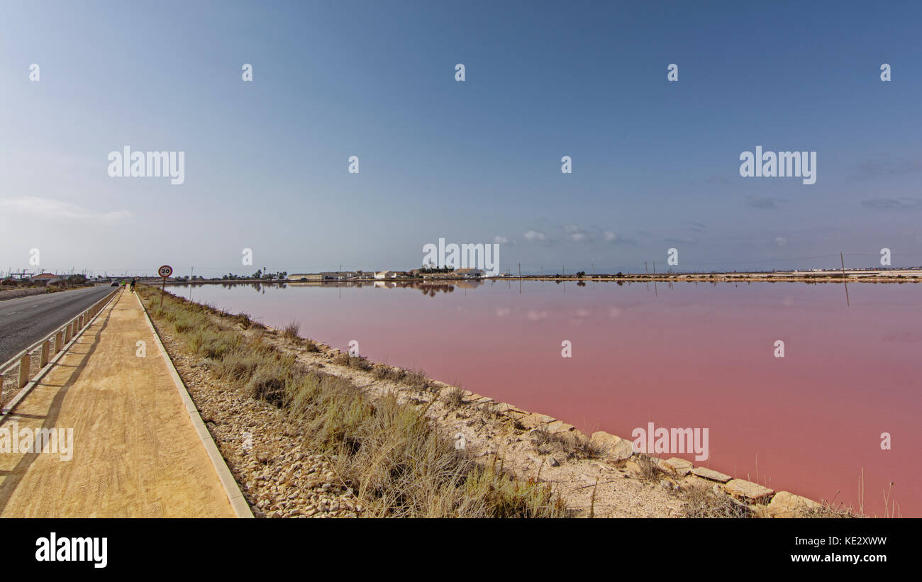 Salines de San Pedro del Pinatar Banque D'Images