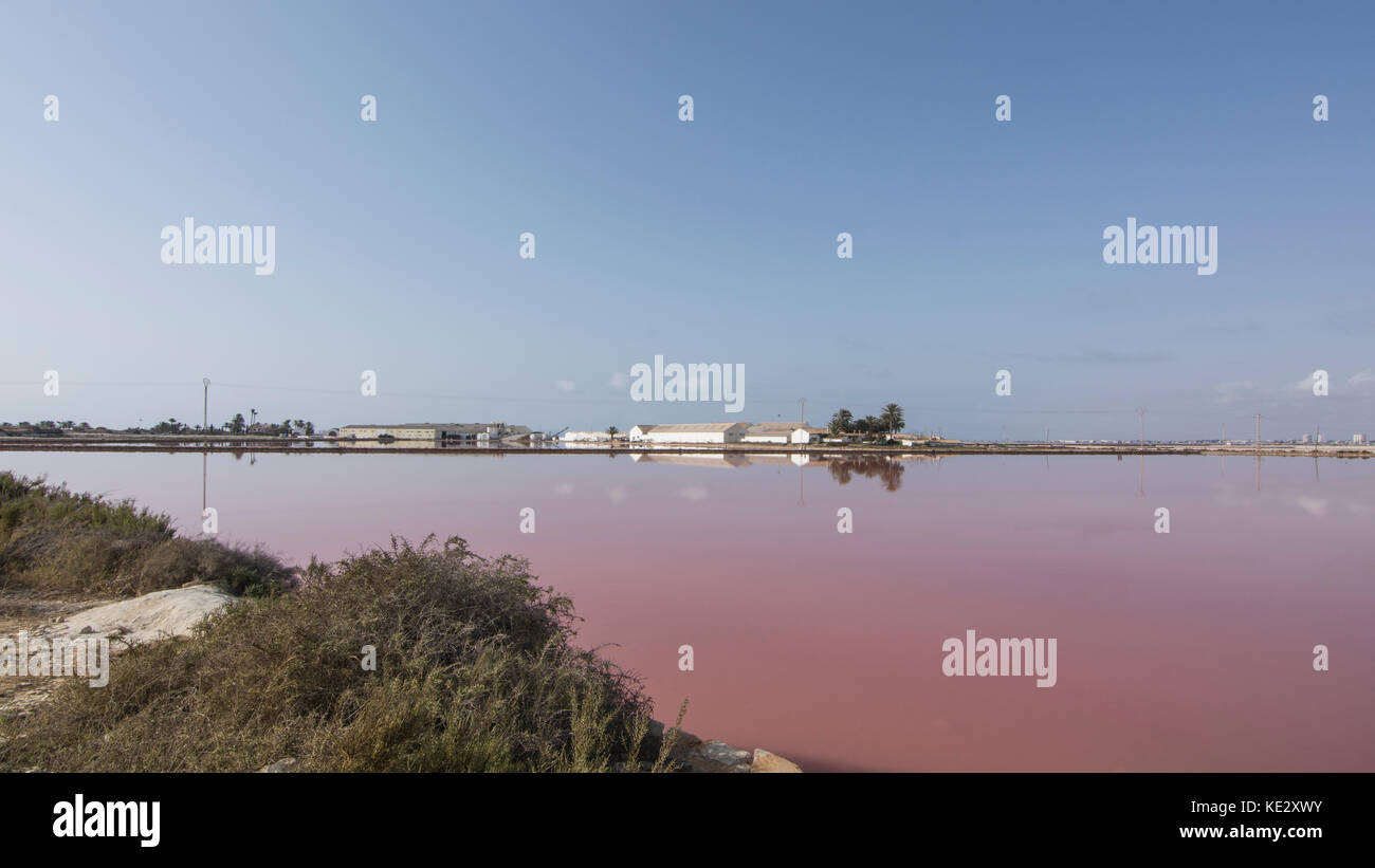 Salines de San Pedro del Pinatar Banque D'Images