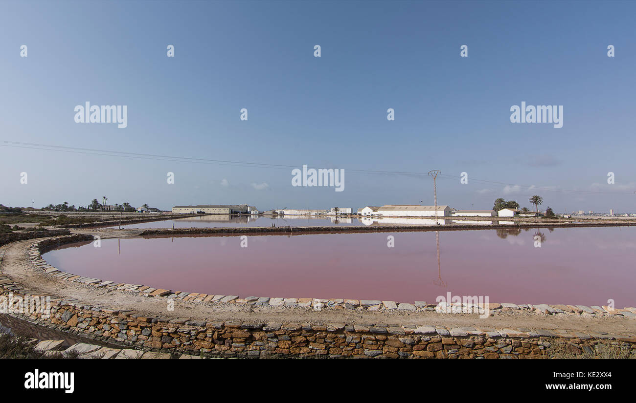 Salines de San Pedro del Pinatar Banque D'Images