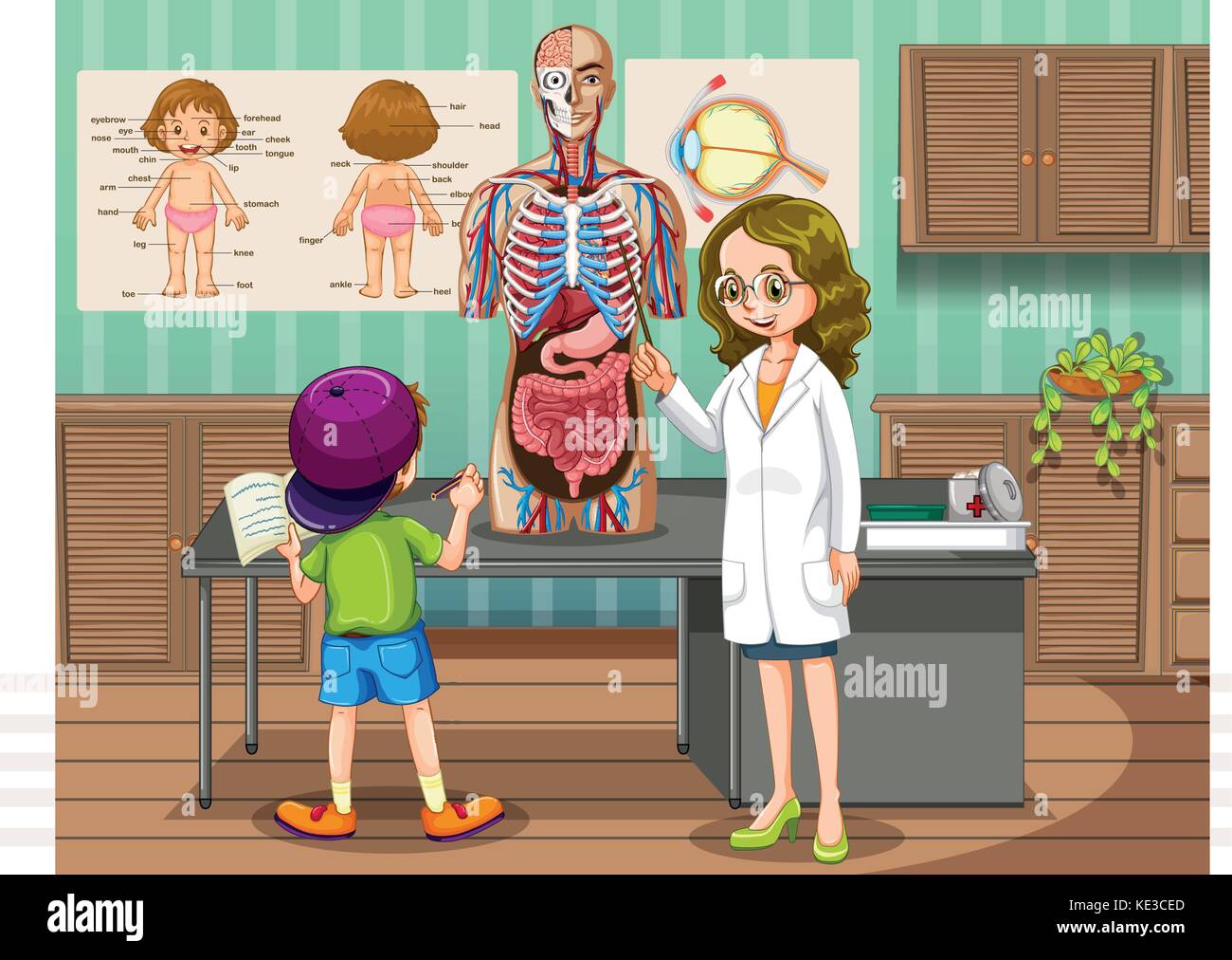 Médecin en expliquant à propos de l'anatomie humaine illustration Illustration de Vecteur