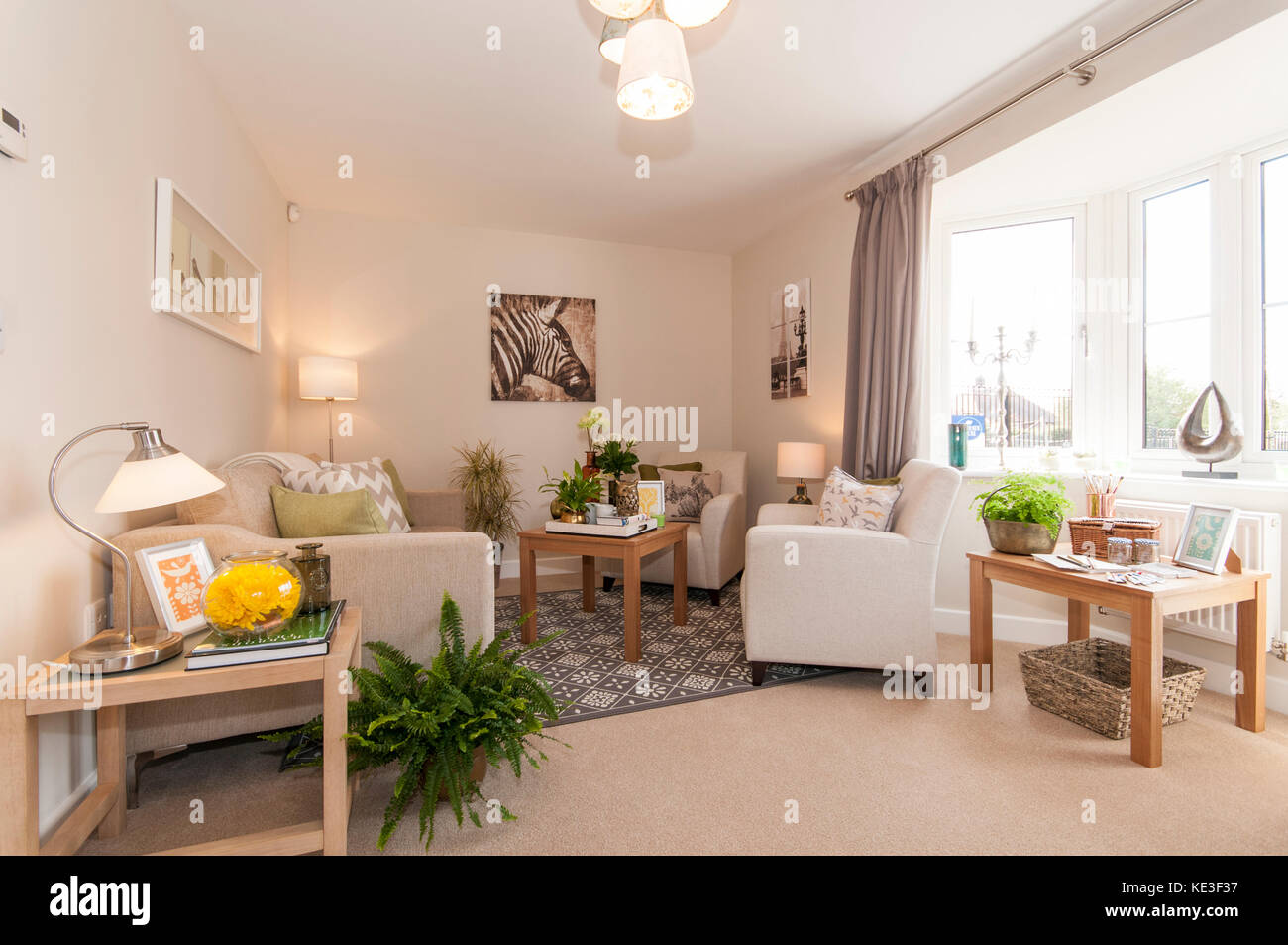 Espace de vie fraîche dans le neuf accueil Banque D'Images