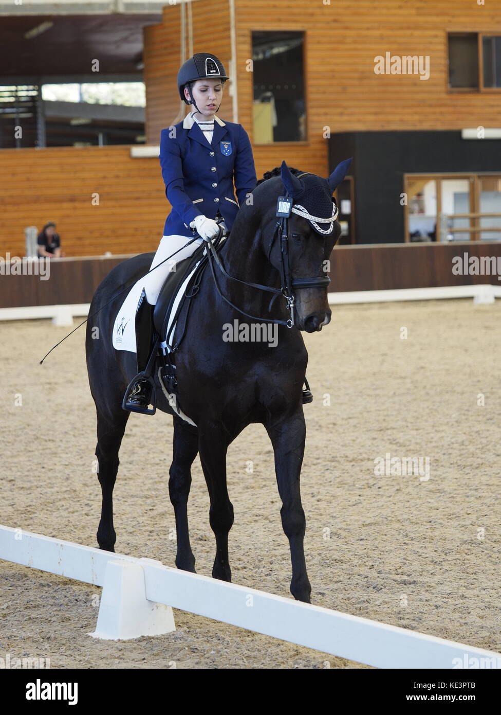 Melbourne, Australie. 18 Oct, 2017. Boneo Park, Melbourne, Australie. 18 octobre, 2017. Equestrian Australie Para Equestrian 4 e année compétition individuelle. Brave petite montée par Zoe Vorenas Vic. Credit : PhotoAbility/Alamy Live News Crédit : PhotoAbility/Alamy Live News Banque D'Images