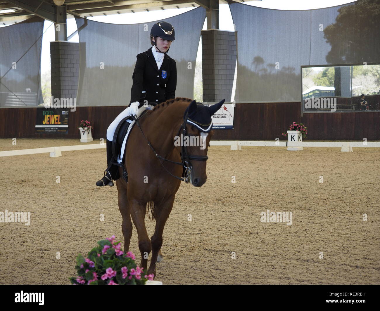 Melbourne, Australie. 18 Oct, 2017. Boneo Park, Melbourne, Australie. 18 octobre, 2017. Equestrian Australie Para Equestrian Grade 1 Compétition individuelle. Remi Faberge monté par Morgan Webb Liddle Vic. Credit : PhotoAbility/Alamy Live News Banque D'Images