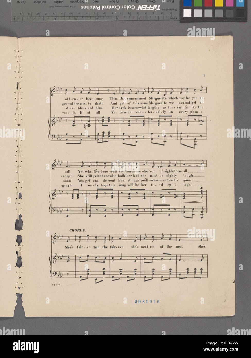 La nouvelle Marguerite (NYPL Hadès 4492521692428) Banque D'Images