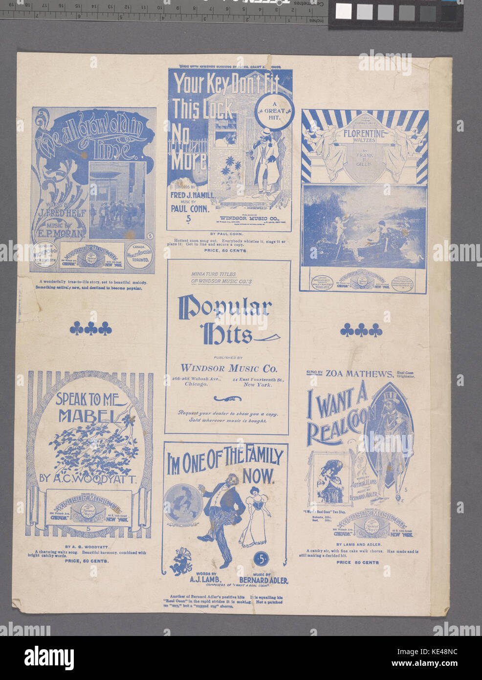 Cette image intitulée 'The Cottage on the Sand' représente un petit chalet côtier niché sur une plage de sable, capturant l'environnement serein de la vie en bord de mer. Banque D'Images