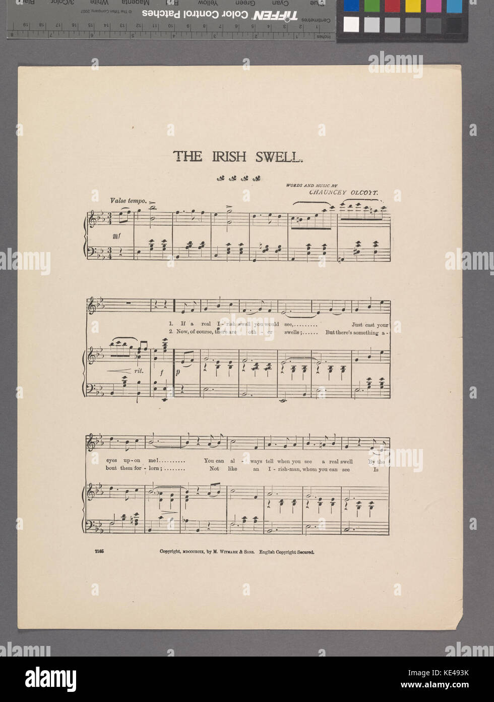 The Irish Swell est une image d'une collection de la New York public Library, présentant la culture ou le style irlandais, peut-être du début du XXe siècle, dans le cadre de la documentation historique. Banque D'Images