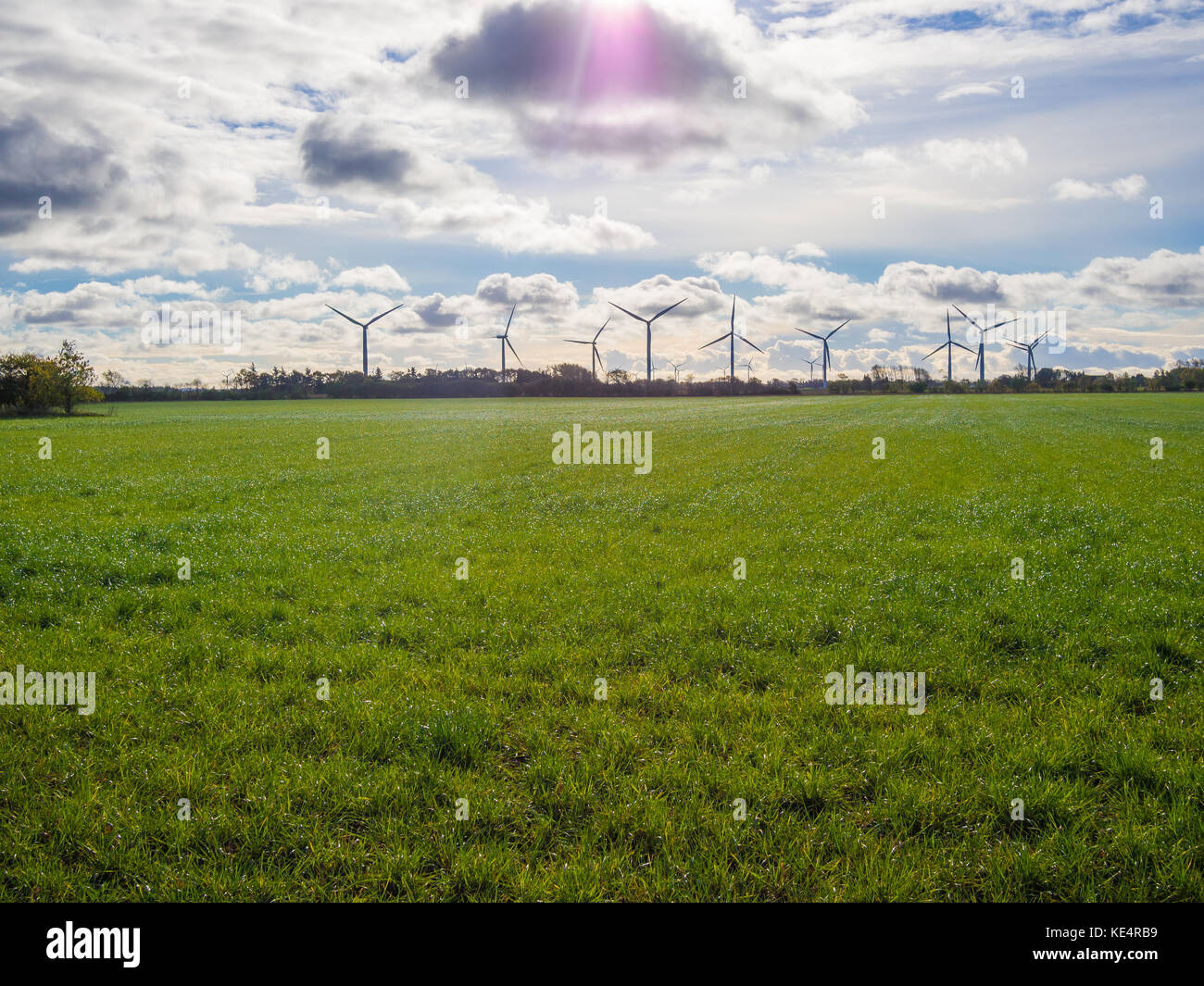 Éoliennes debout sur horizon avec l'herbe verte en premier plan et ciel dramatique, automne, Schleswig-Holstein, Allemagne. Banque D'Images