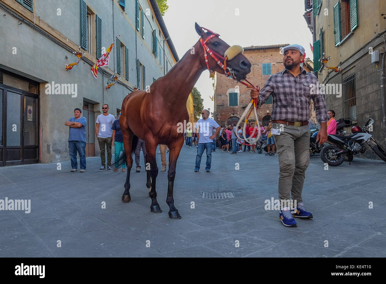 Sienne, ITALIE. 14 août 2017. Un cheval se prépare pour le Palio di Siena Banque D'Images