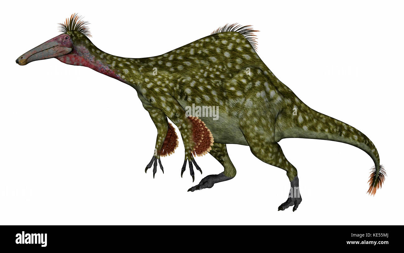 Deinocheirus dinosaure isolé sur fond blanc. Banque D'Images