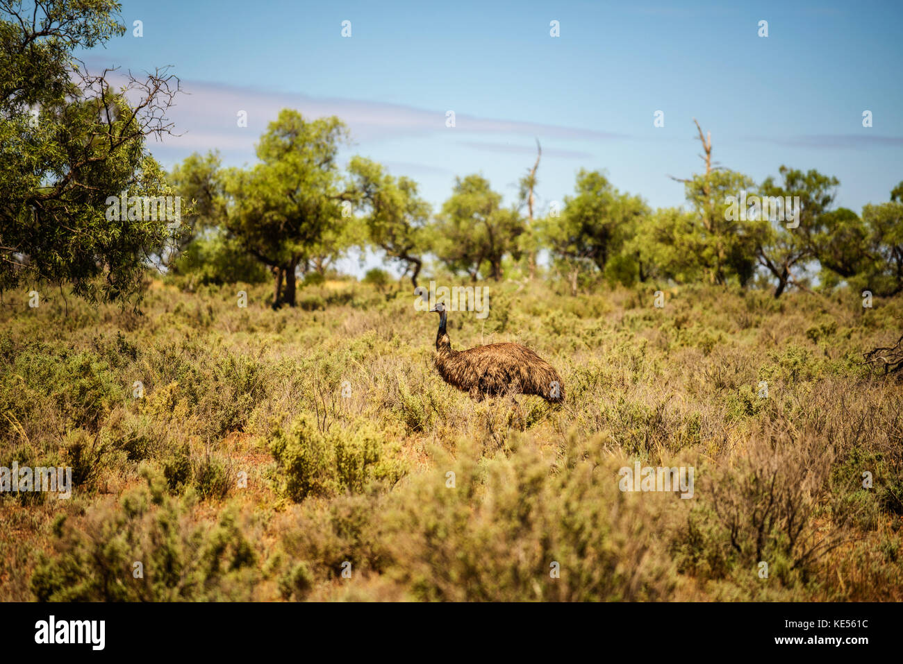 Balades dans l'UEM australienne mungo national park, Australie Banque D'Images