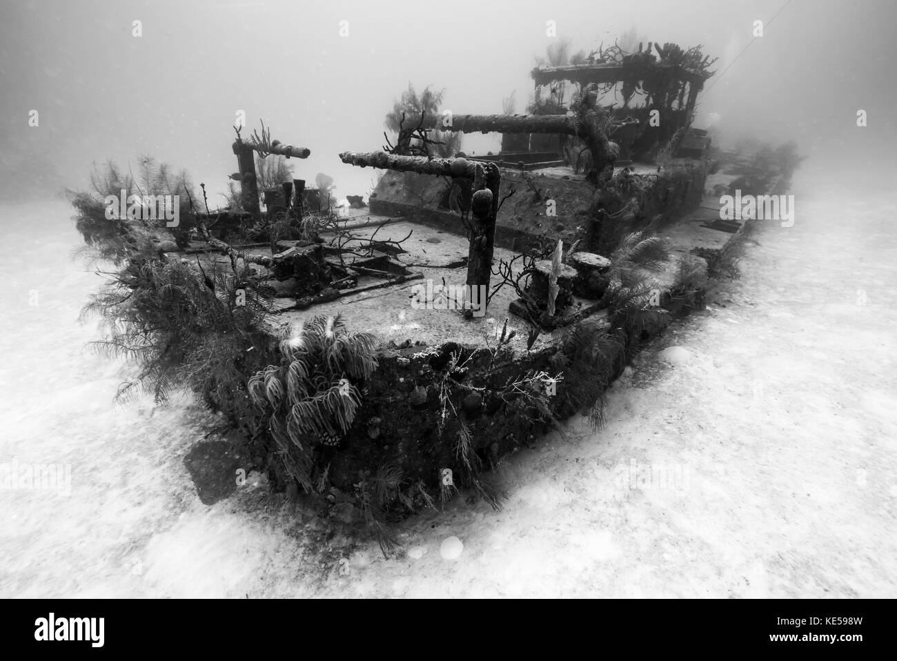Vue du naufrage du Doc Polson à Grand Cayman, Îles Caïmans. Banque D'Images