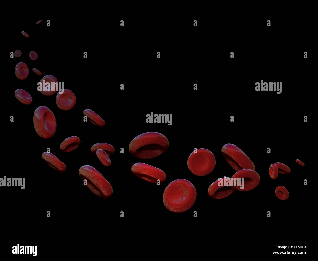 Globules rouges dans une trajectoire courbe flottante. Banque D'Images