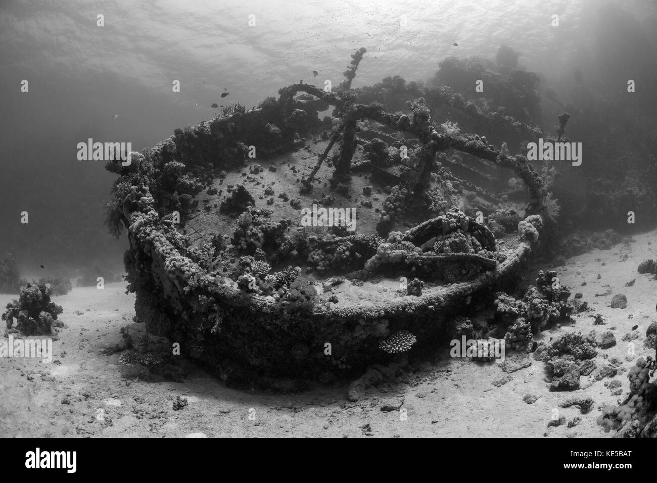 L'épave de bateau remorqueur Tien Sien, Fury Shoal, Red Sea, Egypt Banque D'Images