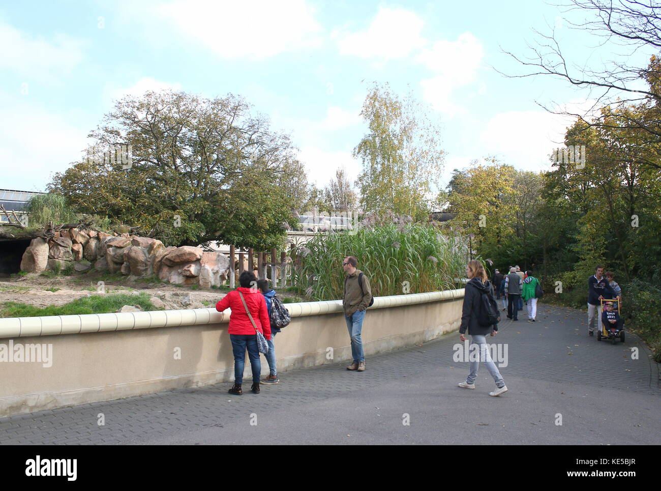 Les personnes qui visitent le zoo de Blijdorp de Rotterdam, aux Pays-Bas. Visiter le rhinocéros noir boîtier. Banque D'Images