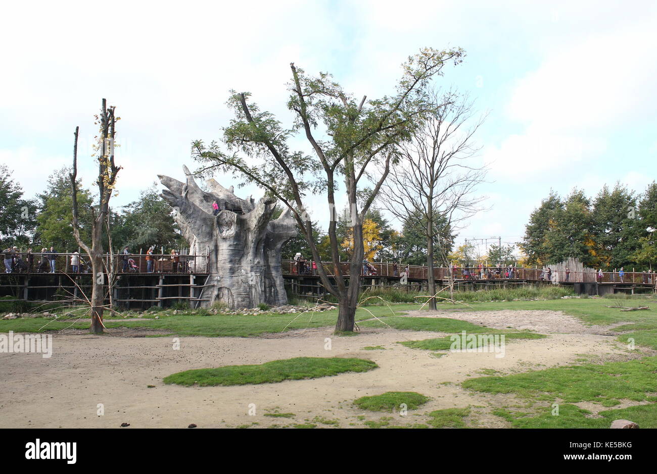 Zone de savane africaine au Zoo de Blijdorp de Rotterdam, aux Pays-Bas. Banque D'Images