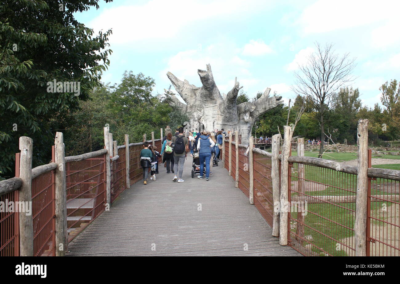 Les personnes qui visitent le zoo de Blijdorp de Rotterdam, Pays-Bas, pont en bois le long de la zone de savane avec des Baobab. Banque D'Images