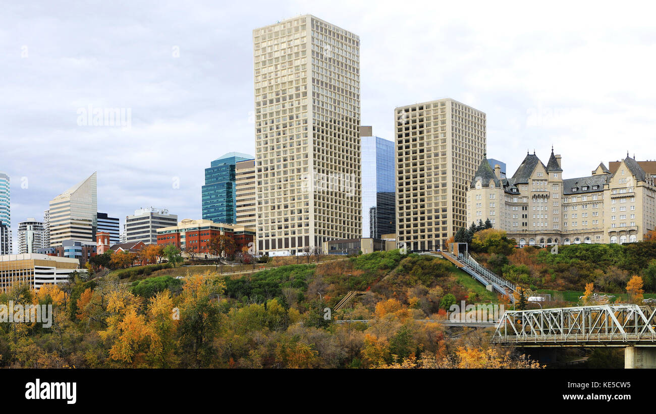 Un centre-ville d'Edmonton, Canada avec aspen en automne coloré Banque D'Images