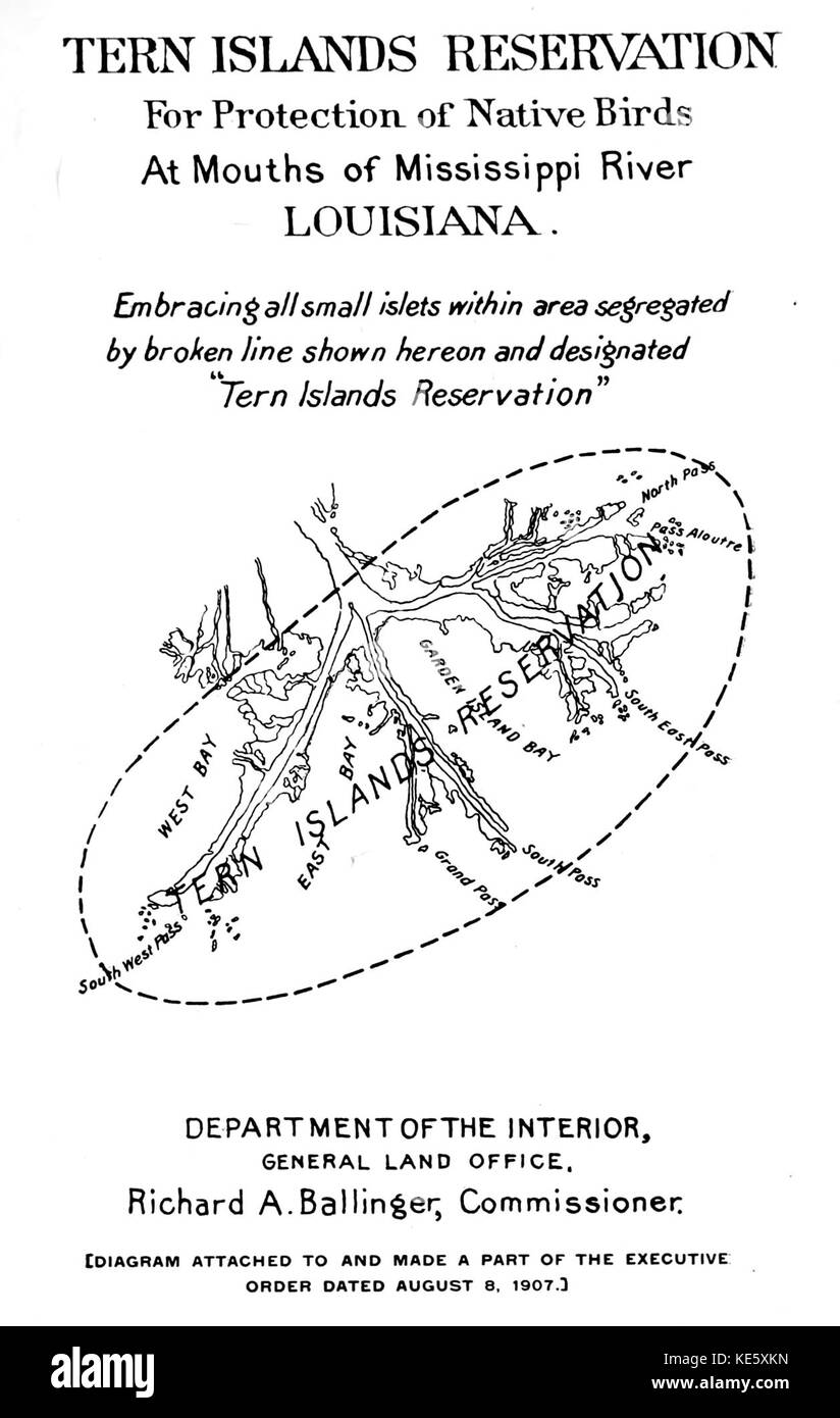 Illustration représentant la réserve Tern Islands, qui peut inclure des détails sur les efforts de conservation, la protection de la faune et l'importance environnementale de la zone. EO 675 pourrait faire référence à un décret exécutif spécifique lié à la réserve. Banque D'Images