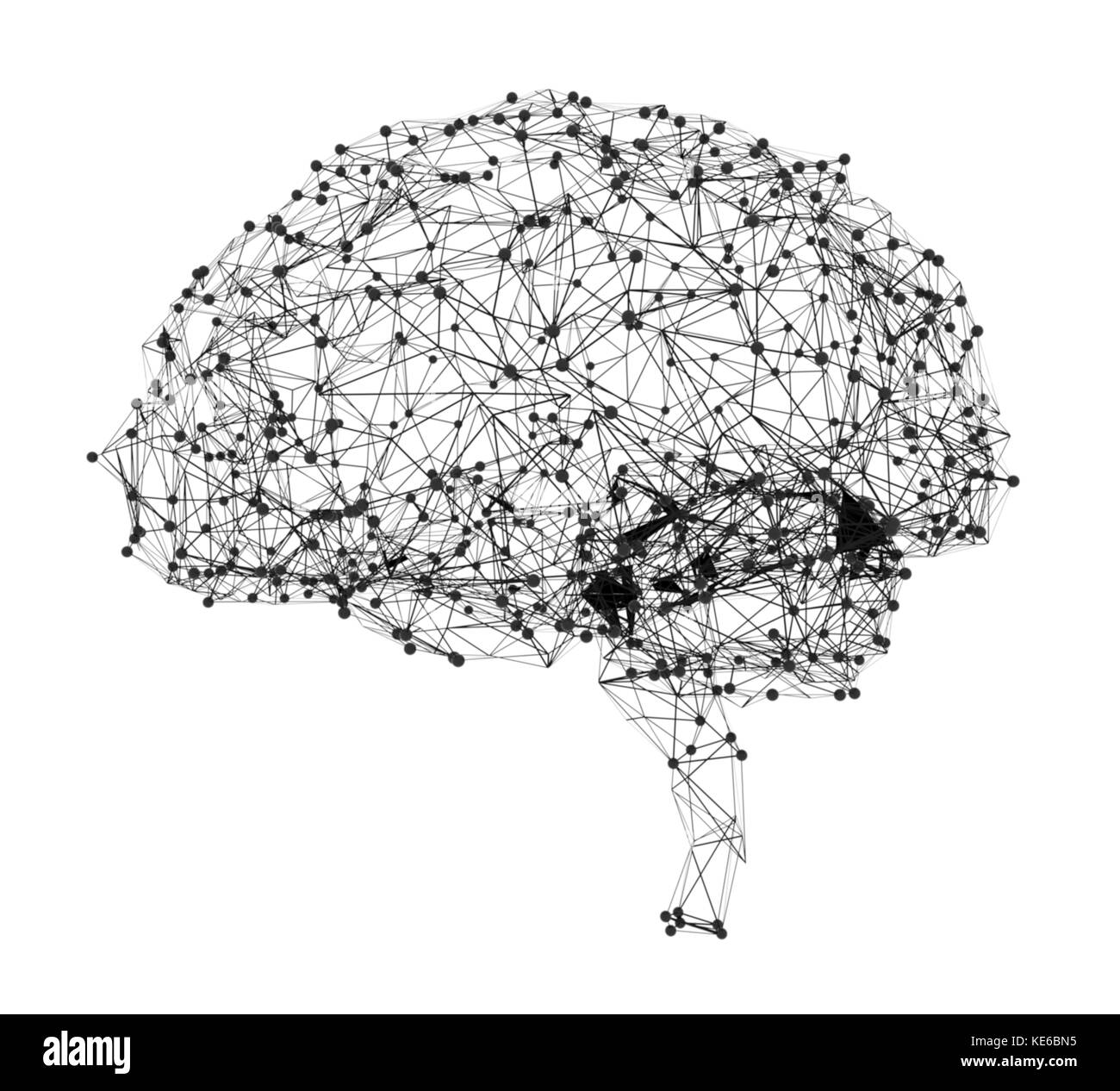 Concept de l'intelligence humaine avec cerveau humain Banque D'Images