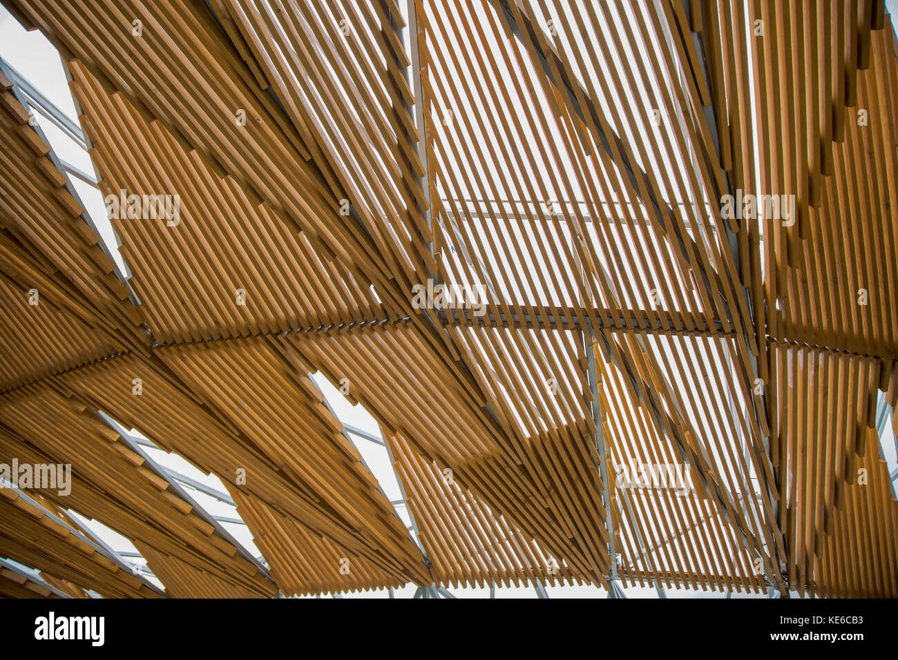 Pavillon en serpentin 2017, Jardins de Kensington, Londres conçu par l'architecte primé Diébédo Francis Kéré, Banque D'Images