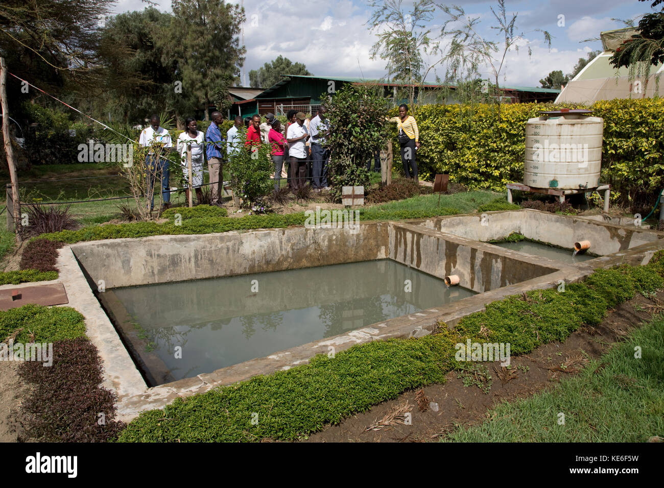 Les enseignants de l'Afrique de l'horticulture de visualisation de la zone humide artificielle ferme fleurs kenya naivasha Banque D'Images