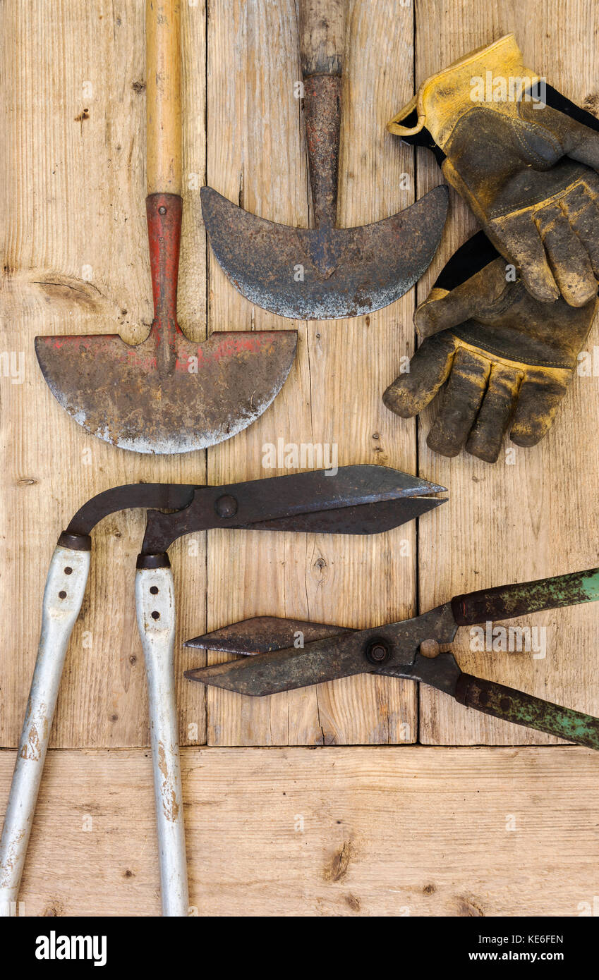 Équipements de bordure de pelouse, cisailles, couteau de chant.old garden equipment. Banque D'Images