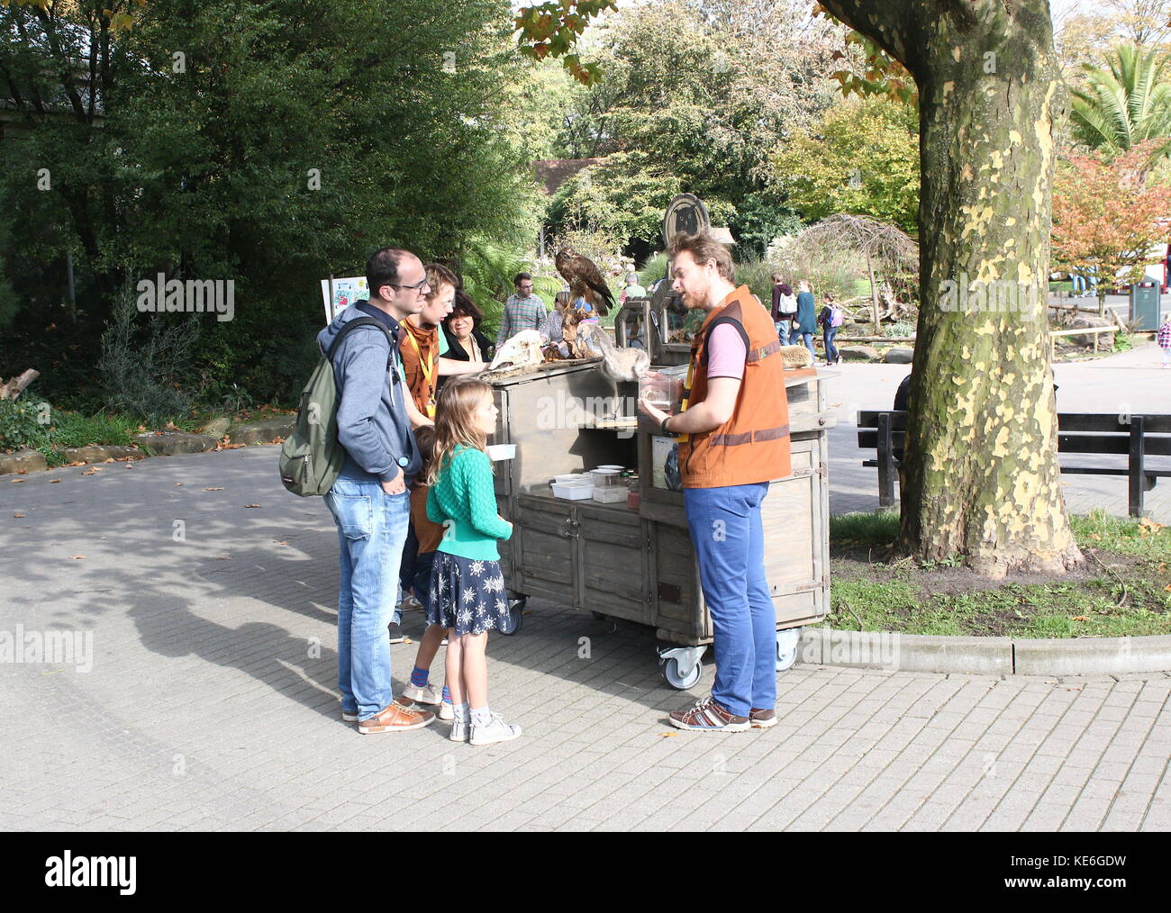 Zookeeper donner une éducation sur les oiseaux de proie, les visiteurs du Zoo de Blijdorp de Rotterdam, aux Pays-Bas. Banque D'Images