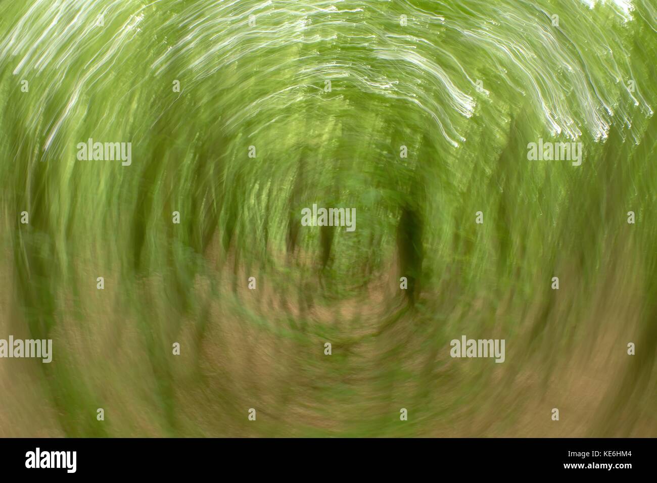 Forêt de flou artistique en arrière-plan du cercle. floue et de couleurs vert frais ciblées en forêt, feuilles d'oranger sur chemin. effet flou hypnotique. Banque D'Images
