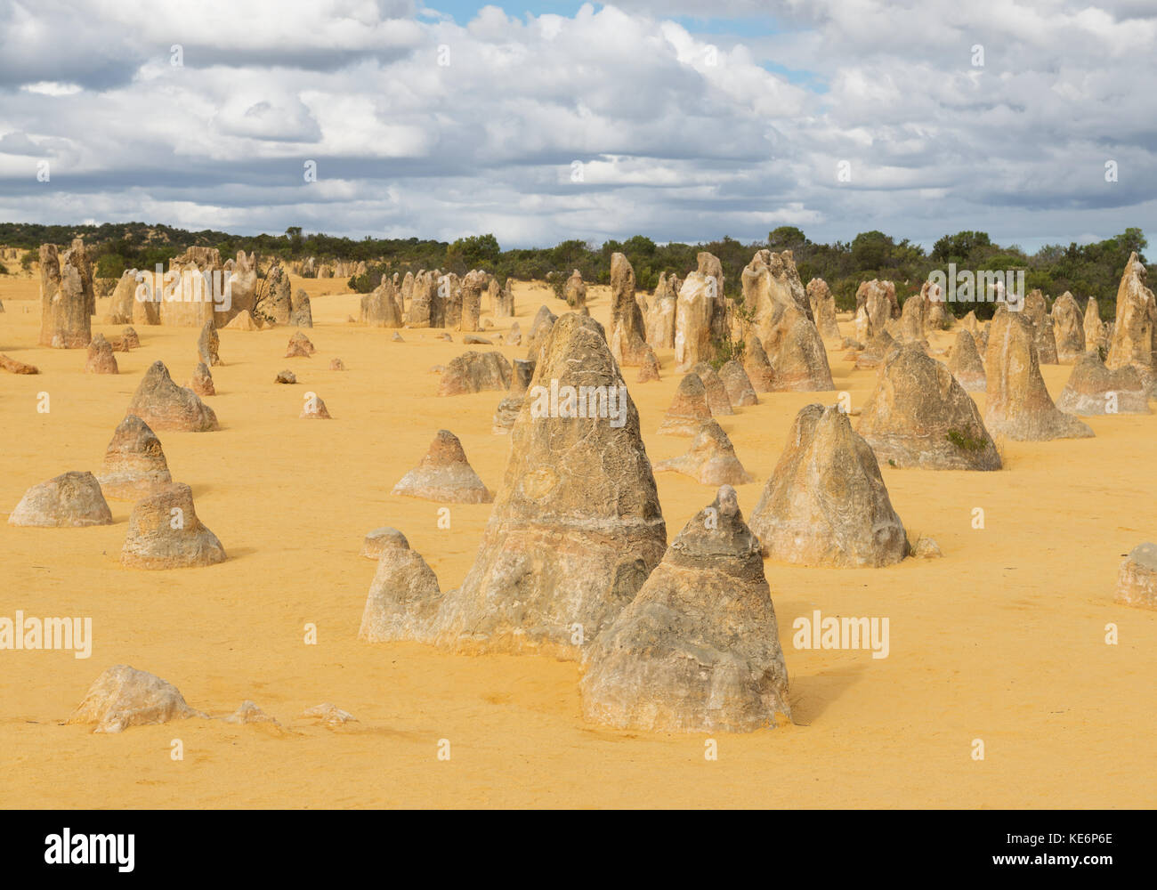 Les dunes de sable jaune et de piliers de calcaire dans le Désert des Pinnacles le parc national de Nambung, dans l'ouest de l'Australie. selective focus sur le devant des rochers. Banque D'Images
