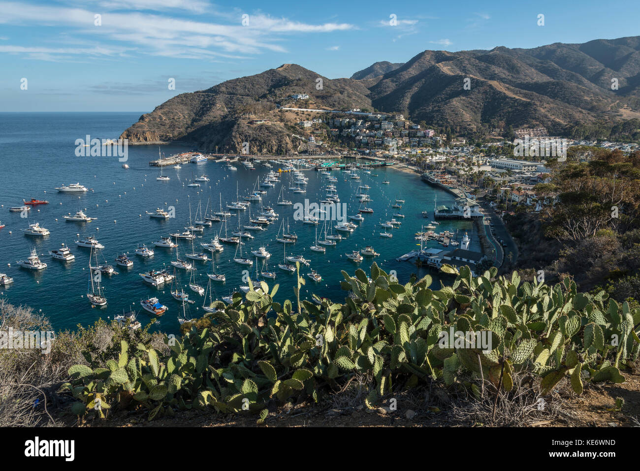 Port d'Avalon, île de Catalina, Californie, États-Unis Banque D'Images